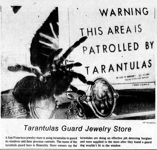 22566 tarantula security system