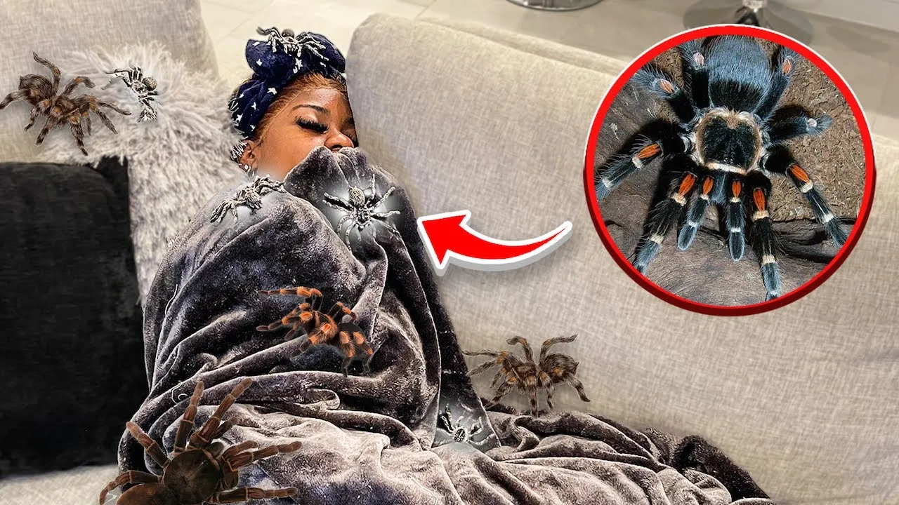 22567 prank location