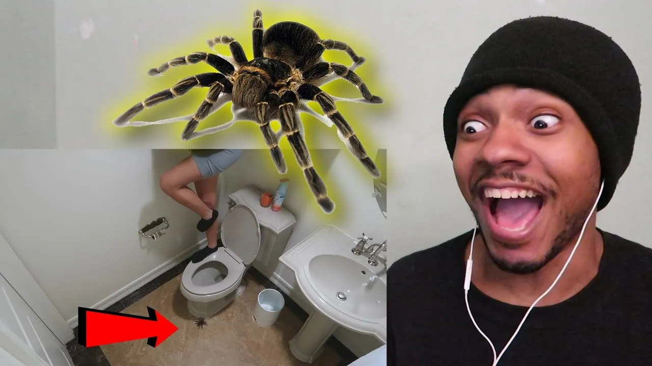 22567 screaming reaction