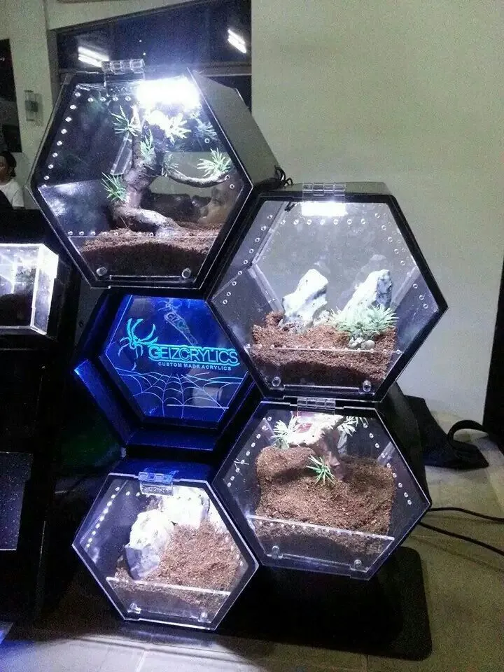 22578 tarantula enclosure overview