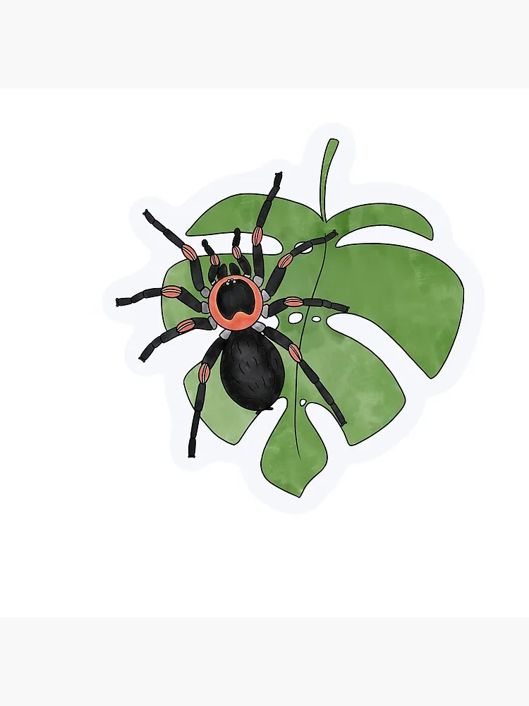 22580 redknee tarantula feeding