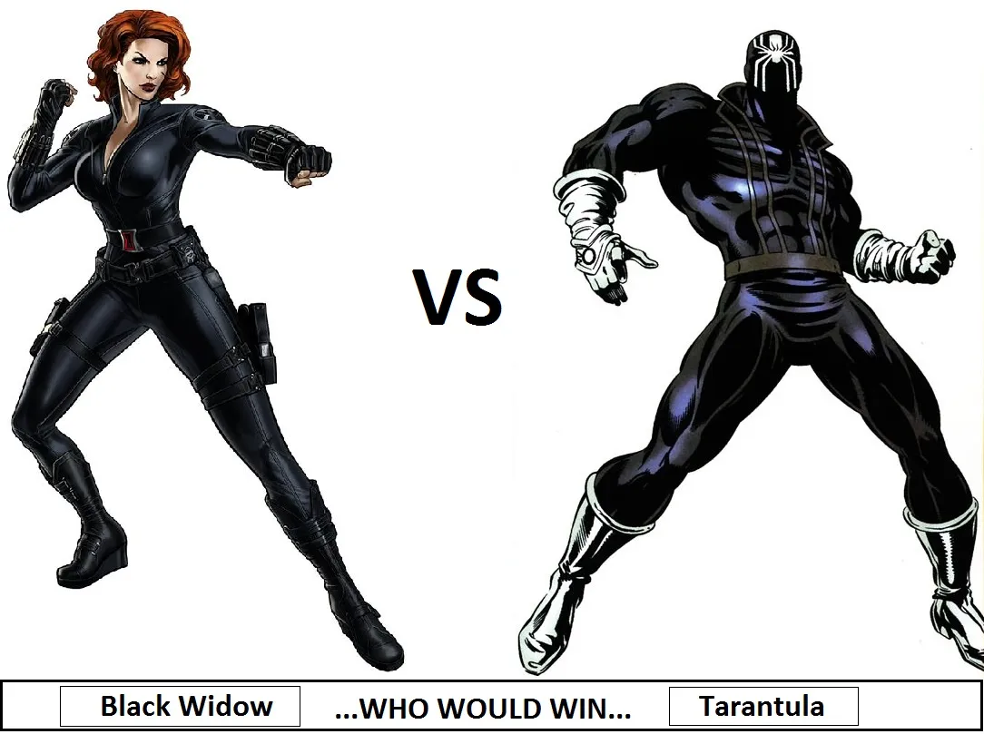 /img/22582-widow-spider-vs-tarantula-7.webp