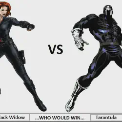 /img/22582-widow-spider-vs-tarantula-7.webp